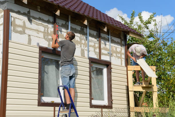 Best Siding Replacement  in Farley, IA