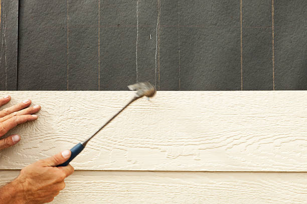Best Siding Painting and Refinishing  in Farley, IA